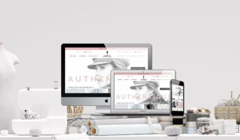 Shopify Theme Development Image