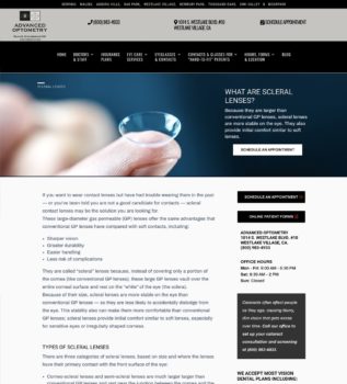 Example of web development service page