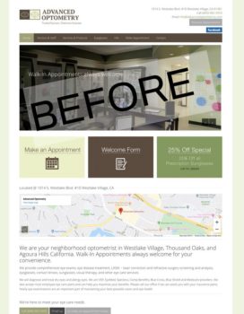 Website Before Theme Development