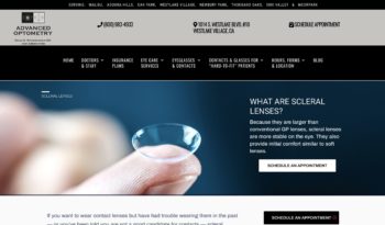 Example of web development service page